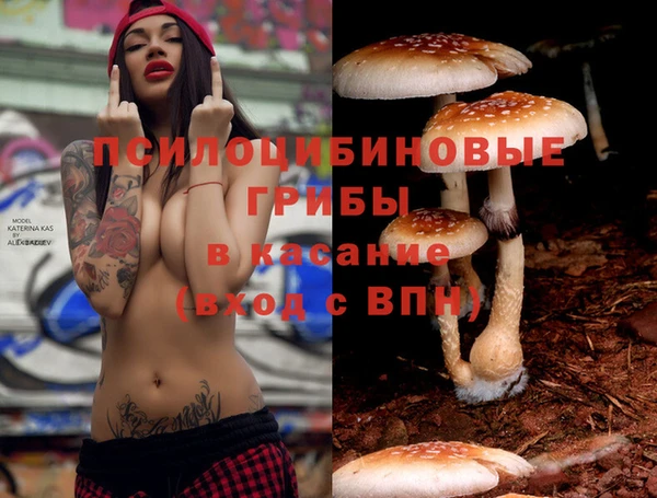 jwh Гусев
