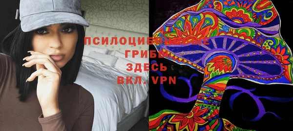 мяу мяу мука Гусиноозёрск