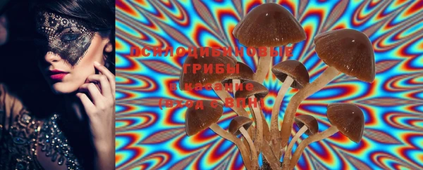 мяу мяу мука Гусиноозёрск