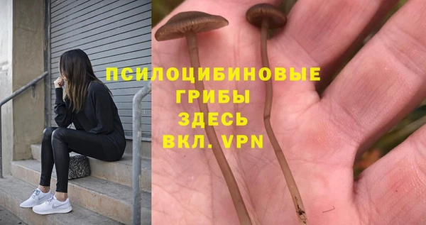 амфетамин Гусь-Хрустальный